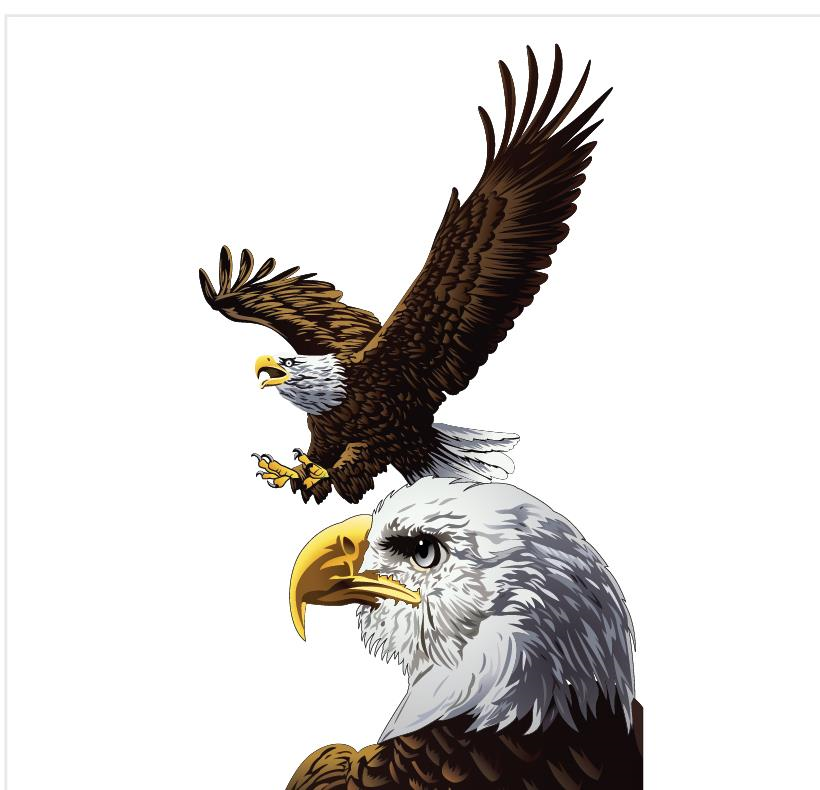 Vector Art Sample 13